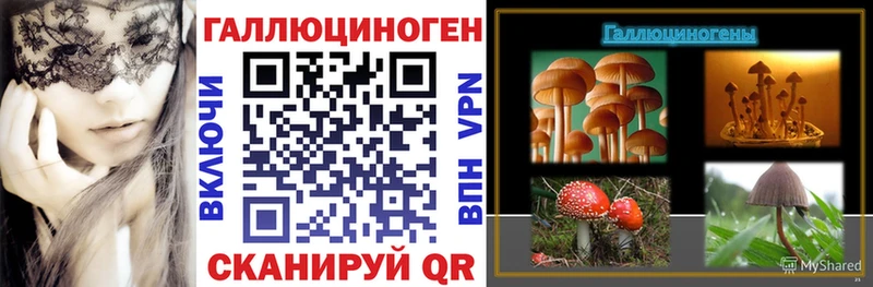Псилоцибиновые грибы MAGIC MUSHROOMS  Купить  Чебаркуль 